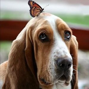 Meet your Posher, Aleksandra